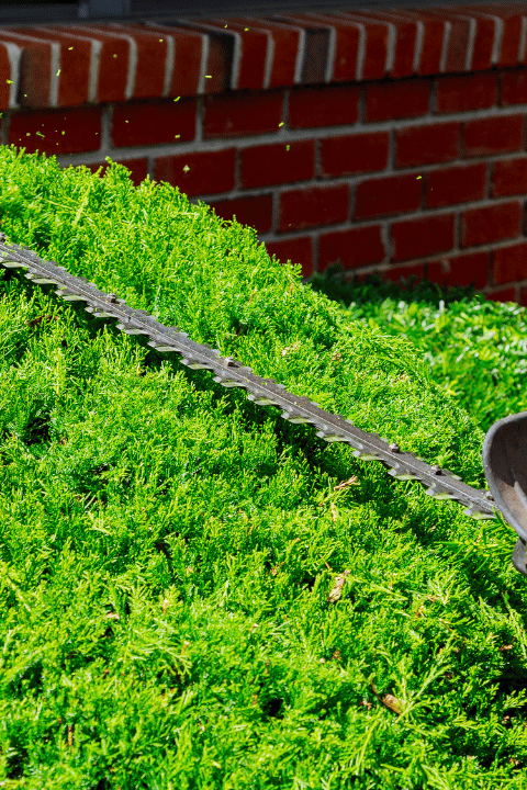 Lone Star Property Maintenance