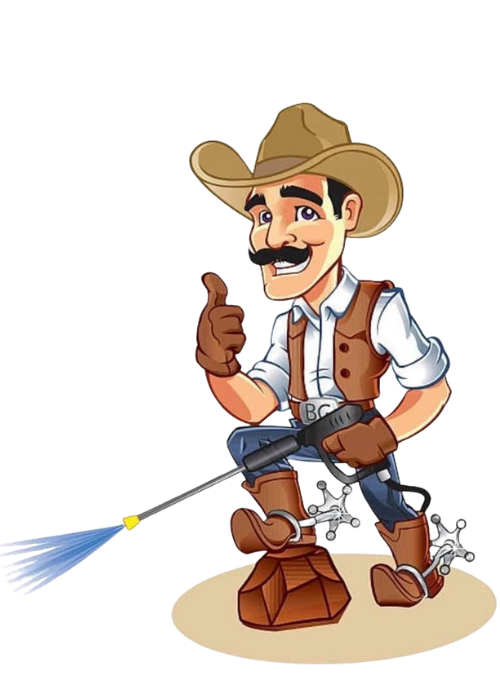 Lone Star Property Maintenance mascot illustration representing local Texas service